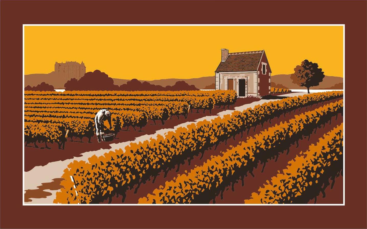 Photo du panneau : vignobles de la vallée de Loire